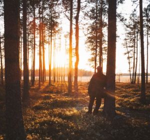 cremation service in Ballwin, MO