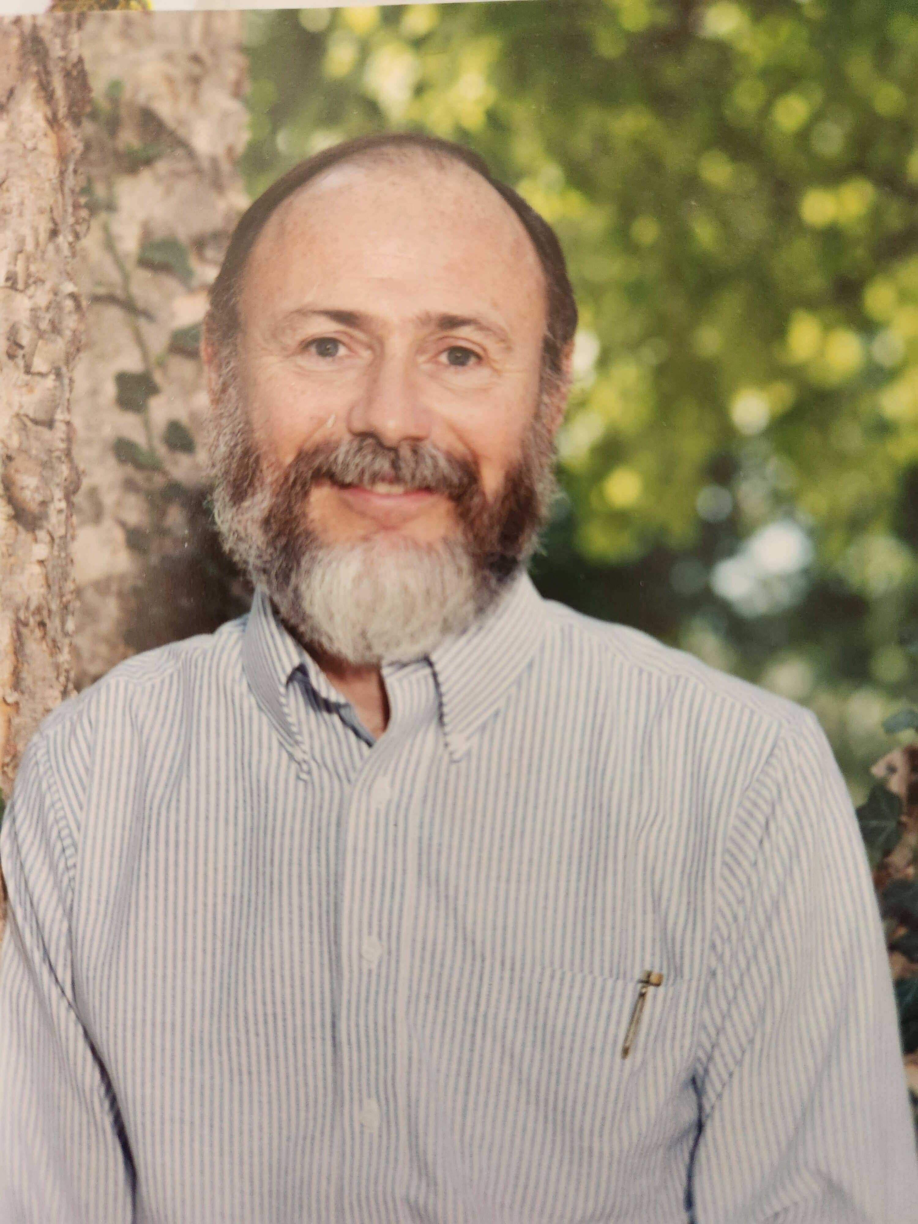 Cremation Bill Young 2022 A Step Forward In End Of Life Autonomy - 1u7o284
