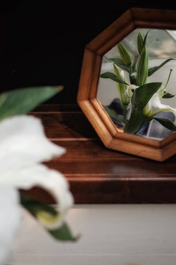 cremation service St. Charles, MO