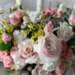 cremation service St. Charles, MO