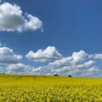 cremation service in St. Charles, MO