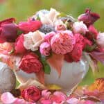 cremation service in St. Louis, MO