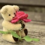 cremation service St. Charles, MO