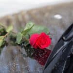 cremation service St. Louis, MO