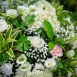 cremation service Ballwin, MO