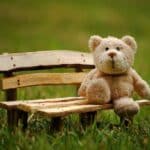 Teddy bear perched on a rustic mini bench outdoors, cremation service St. Charles, MO