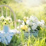 Sunlit chair with daisies in tall grass, simple cremation choice, cremation service St. Charles, MO