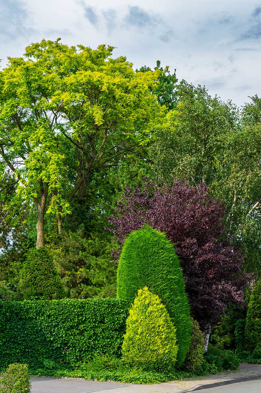 Lush Ornamental Garden With Sculpted Evergreen Shrubs, Mature Trees, And Dense Green Landscaping Along A Walkway Under A Cloudy Sky